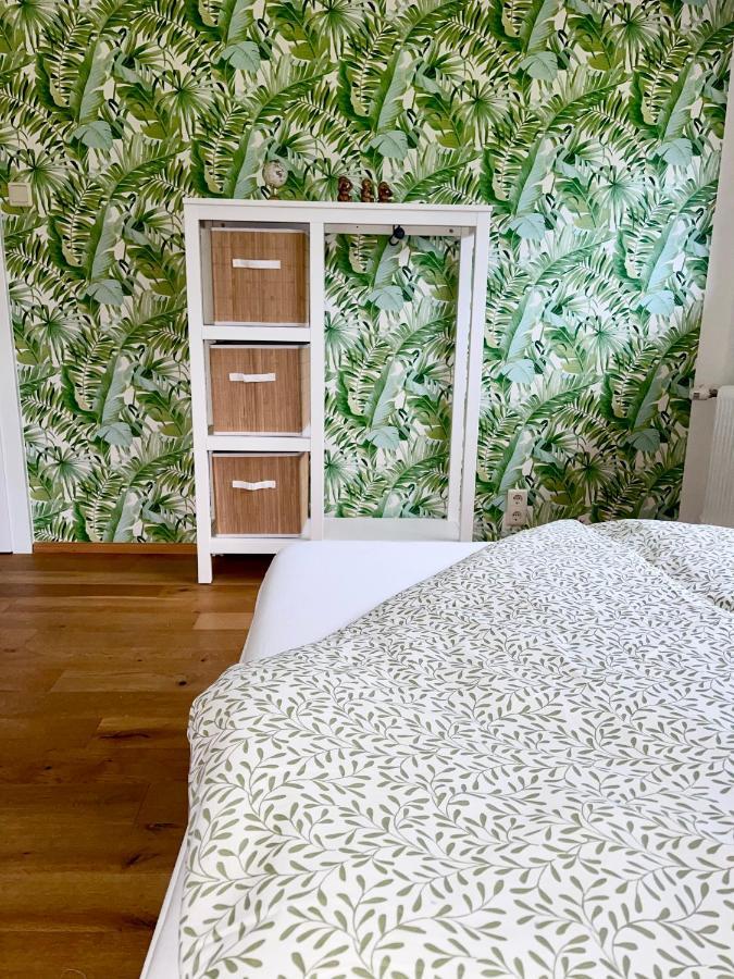Almsternderl 2.0 - Gemuetliches Appartment In Гозау Экстерьер фото